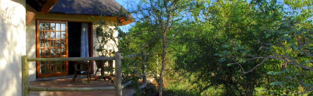 Mbizi Bush Lodge 帕拉博鲁瓦 外观 照片